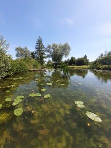 Photos de Ã©tangs aujourd'hui