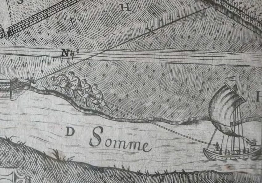 Gribanniers sur la somme.