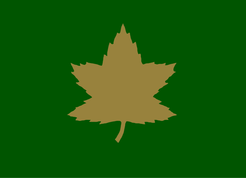 Drapeau de la 4éme division blindé Canadienne.