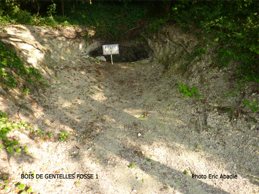 Fosse 1 - bois de Gentelles.