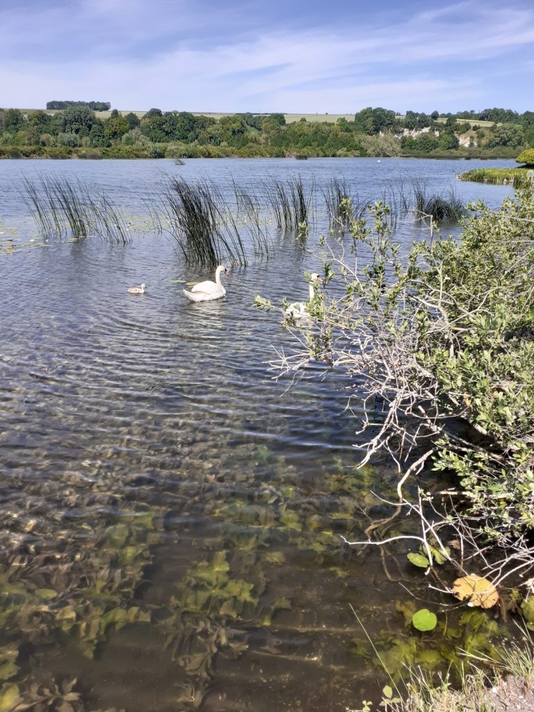 VallÃ©e humide et biodiversitÃ© Ã  LongprÃ© les Corps Saints